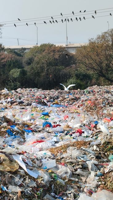 A large open area of ground covered with a significant accumulation of mixed waste materials, primarily plastic and paper rubbish, forming a dense heap stretching across the foreground. The plastic wa